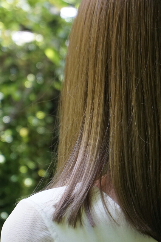 DSC09870_1.JPG image