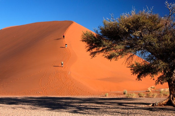 Dune 45 - Namib desert, Namibia