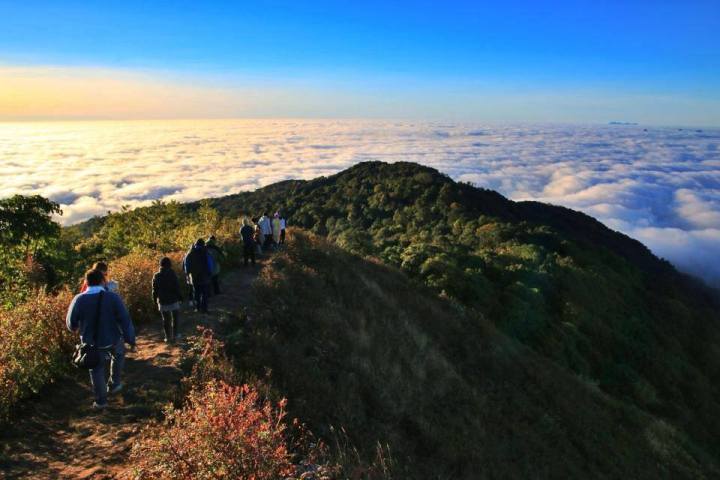 ฟ้าห่มปก