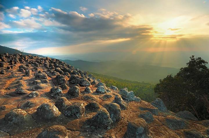 ภูหินร่องกล้า